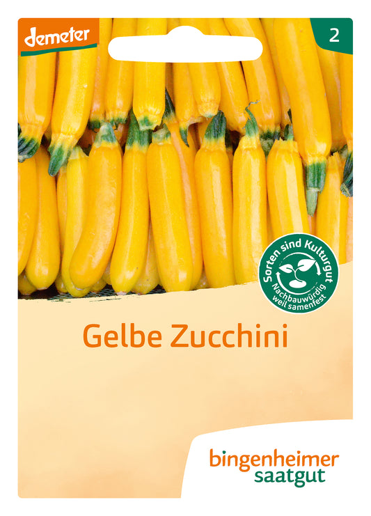 Artikelbild 1 von "BIO Zucchini Solara" aus der Kategorie Zucchinisamen