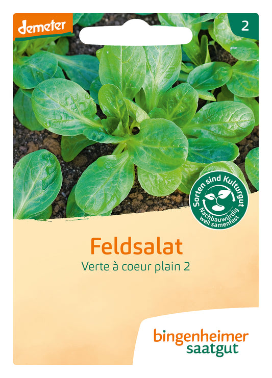 Artikelbild 1 von "BIO Feldsalat Verte à coeur plein 2" aus der Kategorie Feldsalatsamen