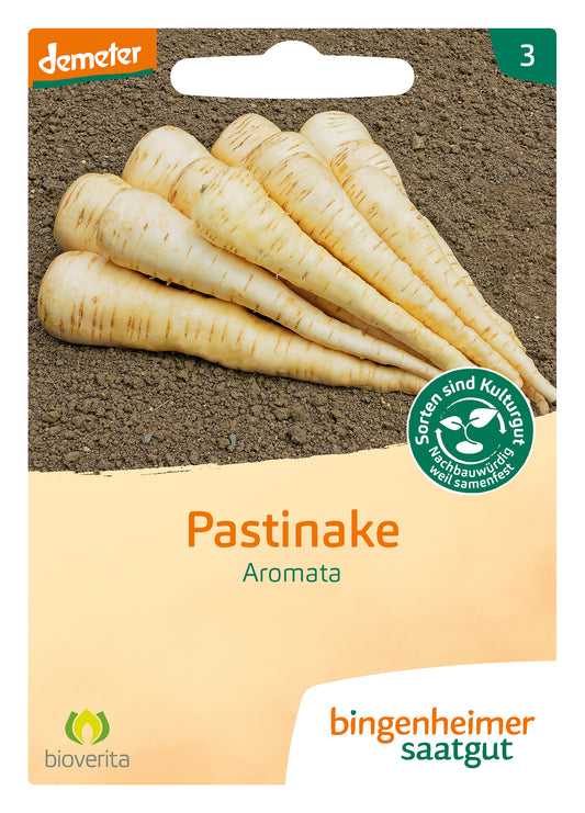 Artikelbild 1 von "BIO Pastinake Aromata" aus der Kategorie Pastinakensamen