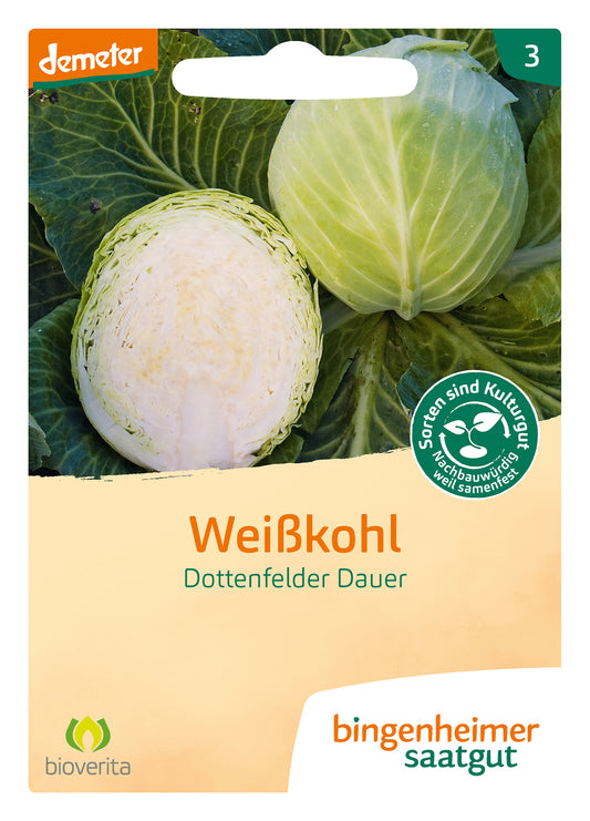 Artikelbild 1 von "BIO Weißkohl Dottenfelder Dauer" aus der Kategorie Weißkohlsamen