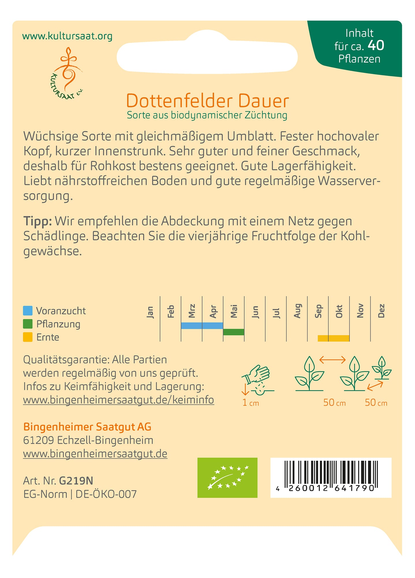 Artikelbild 2 von "BIO Weißkohl Dottenfelder Dauer" aus der Kategorie Weißkohlsamen