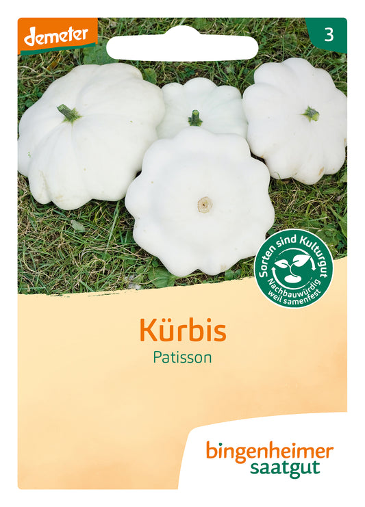 Artikelbild 1 von "BIO Kürbis Patisson - Custard White" aus der Kategorie Kürbissamen