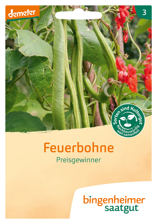 Artikelbild 1 von "BIO Feuerbohne Preisgewinner" aus der Kategorie Feuerbohnensamen