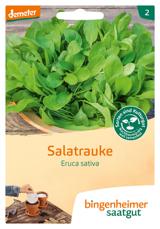 Artikelbild 1 von "BIO Salatrauke Saatscheiben" aus der Kategorie Rucola- / Raukesamen