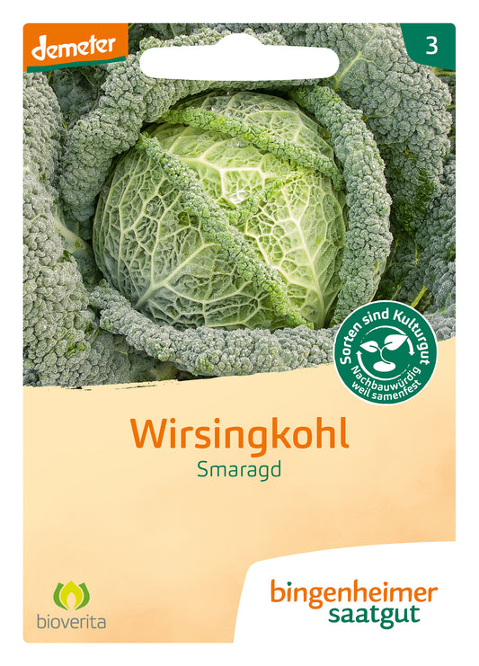 Artikelbild 1 von "BIO Wirsingkohl Smaragd" aus der Kategorie Wirsingsamen
