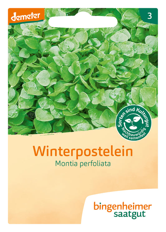 Artikelbild 1 von "BIO Winterpostelein" aus der Kategorie Portulaksamen