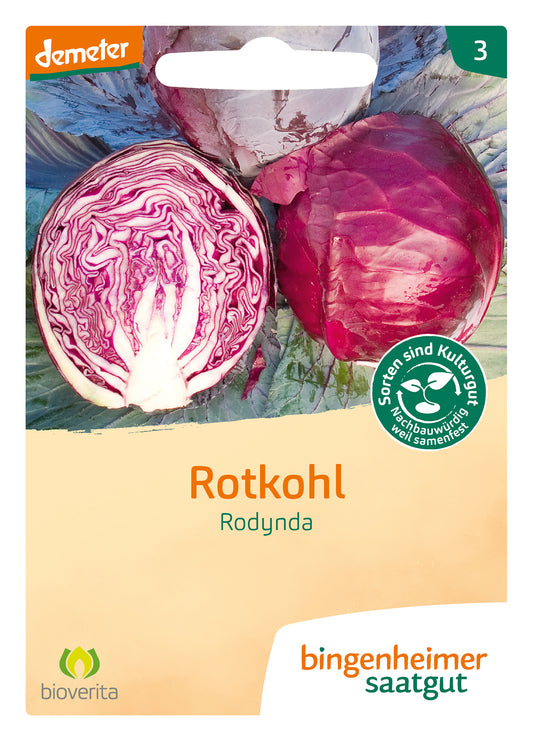 Artikelbild 1 von "BIO Rotkohl Rodynda" aus der Kategorie Rotkohlsamen