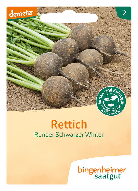 Artikelbild 1 von "BIO Rettich R. Schw. Winter" aus der Kategorie Rettichsamen