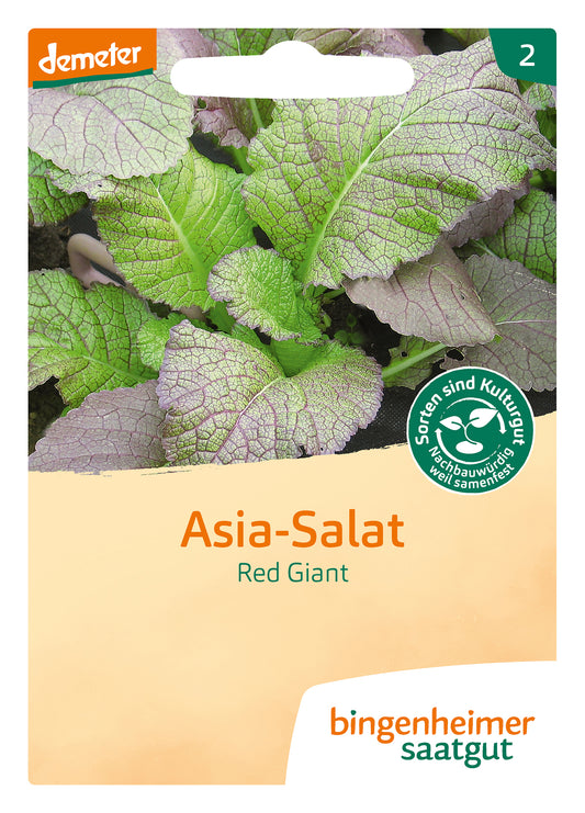 Artikelbild 1 von "BIO Asia Salat Red Giant" aus der Kategorie Asiasalatsamen