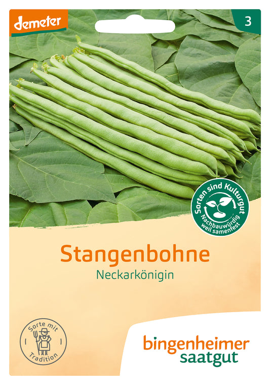 Artikelbild 1 von "BIO Stangenbohne Neckarkönigin" aus der Kategorie Stangenbohnensamen