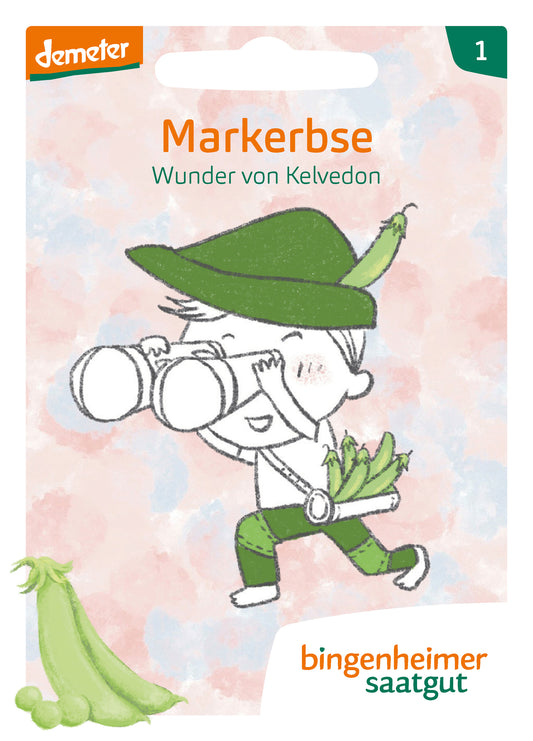 Artikelbild 1 von "BIO KinderKollektion - Markerbse Wunder von Kelvedon"