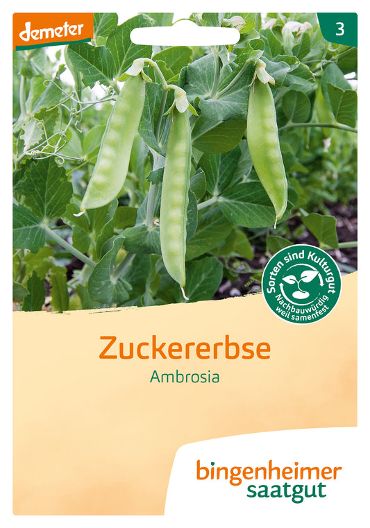 Artikelbild 1 von "BIO Zuckererbse Ambrosia" aus der Kategorie Zuckererbsensamen