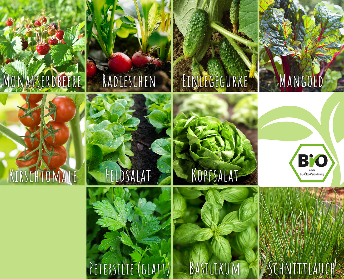 Artikelbild 8 von "BIO Balkon-Set (10 Sorten)" aus der Kategorie Samen-Sets