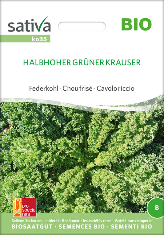 Federkohl / Grünkohl Halbhoher Grüner Krauser | BIO Grünkohlsamen von Sativa Rheinau