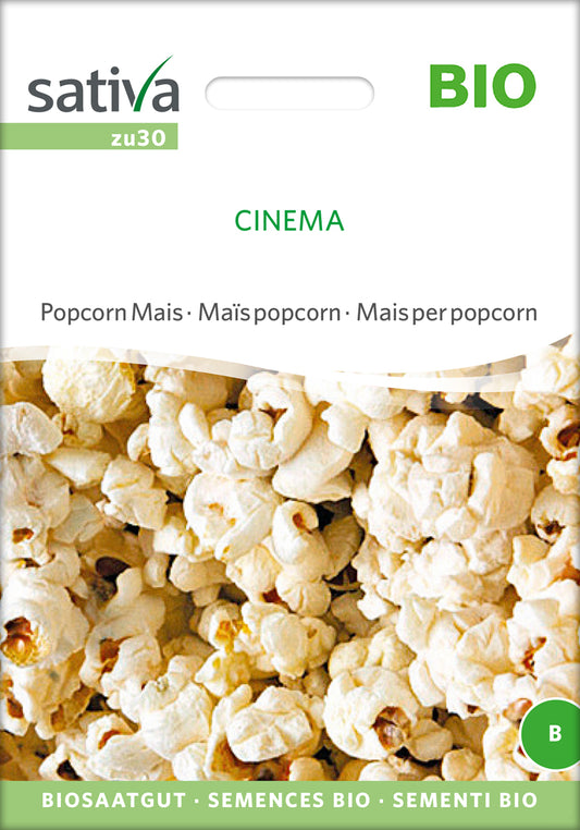Popcorn Mais Cinema | BIO Maissamen von Sativa Rheinau