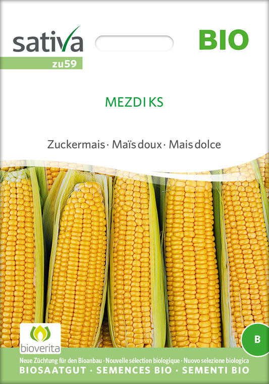 Zuckermais Mezdi Ks | BIO Maissamen von Sativa Rheinau