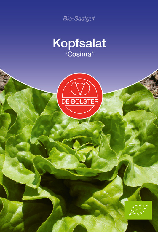 Kopfsalat Cosima | BIO Kopfsalatsamen von De Bolster