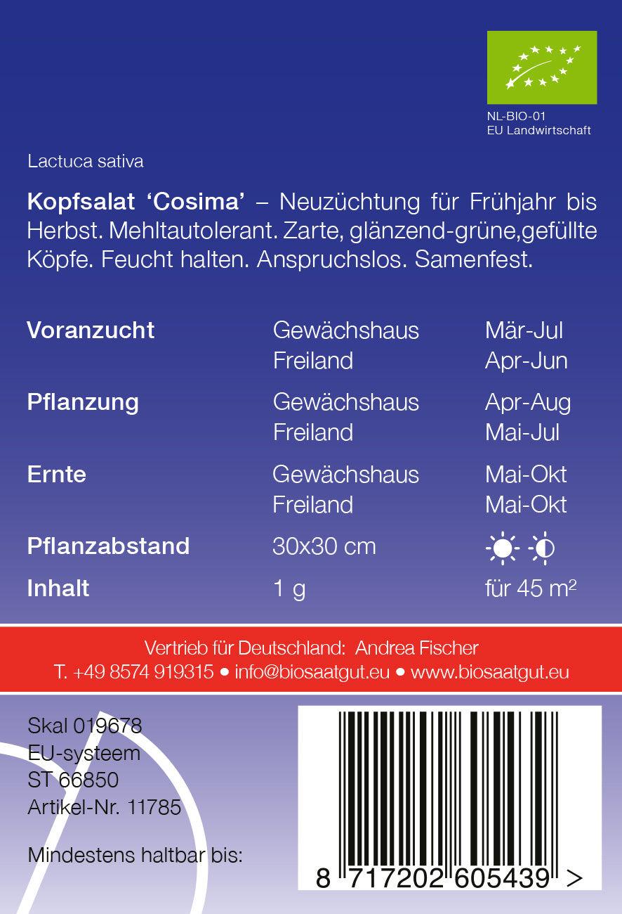 Kopfsalat Cosima | BIO Kopfsalatsamen von De Bolster