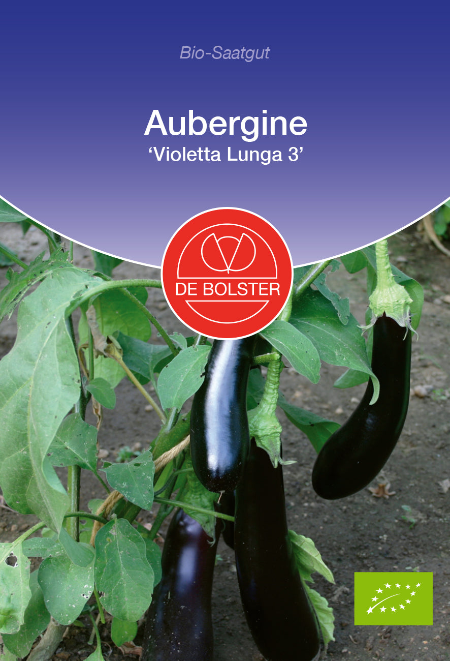 Aubergine Violetta Lunga 3 | BIO Auberginensamen von De Bolster
