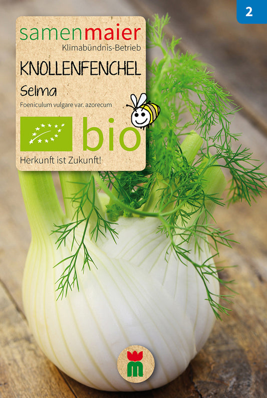 Knollenfenchel Selma | BIO Fenchelsamen von Samen Maier