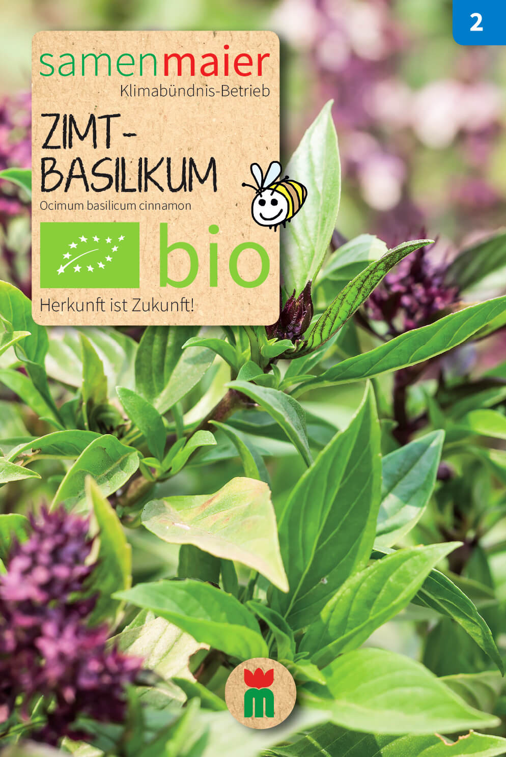 Beet-Box "Für die Gartenfee" | BIO Gemüsesamen-Sets von Samen Maier