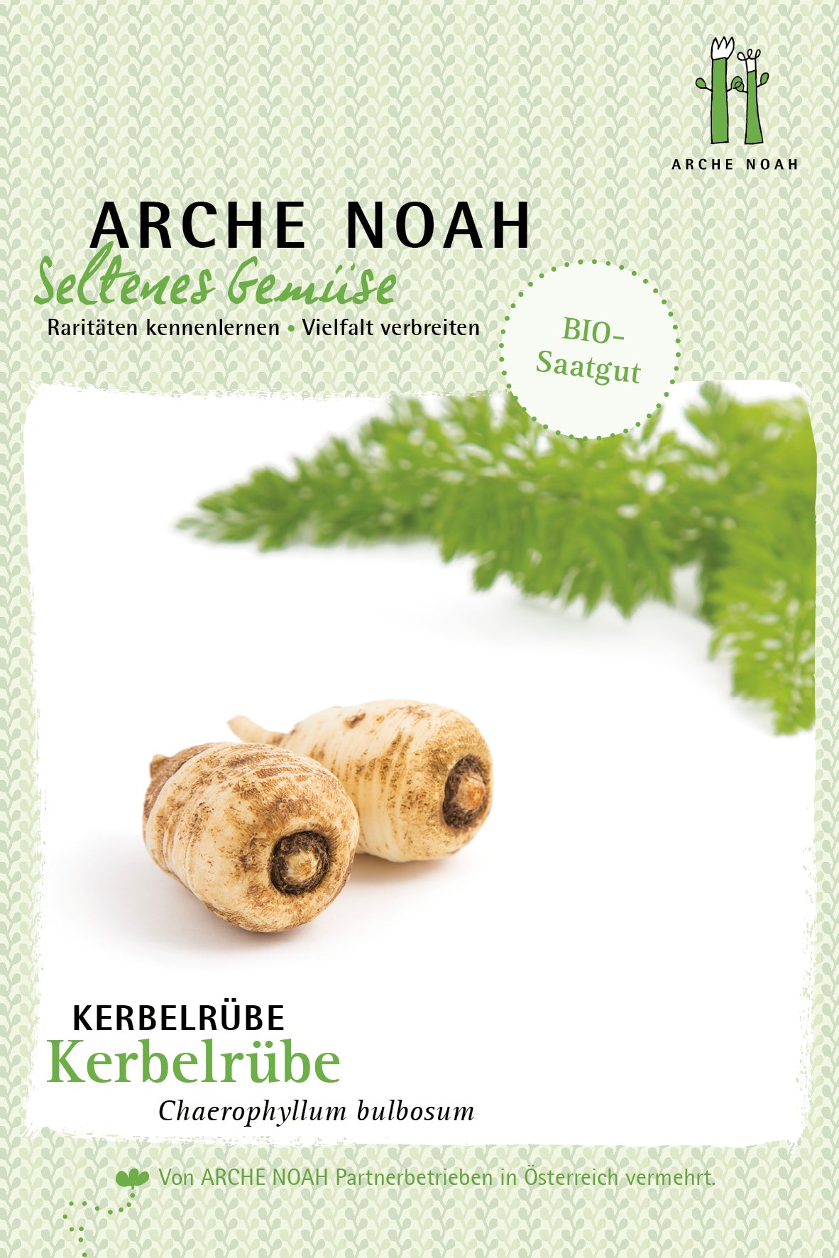 Kerbelrübe | BIO Kerbelrübensamen von Arche Noah
