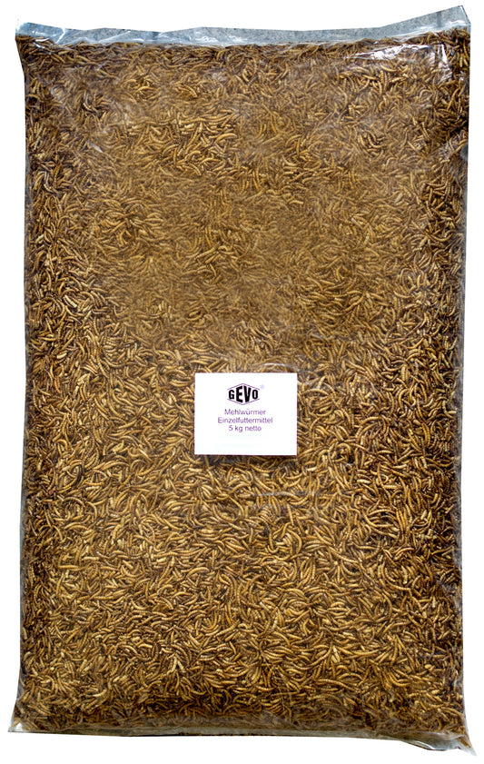 Artikelbild 1 von "Mehlwürmer getrocknet (5 kg)" aus der Kategorie Wildvogelfutter