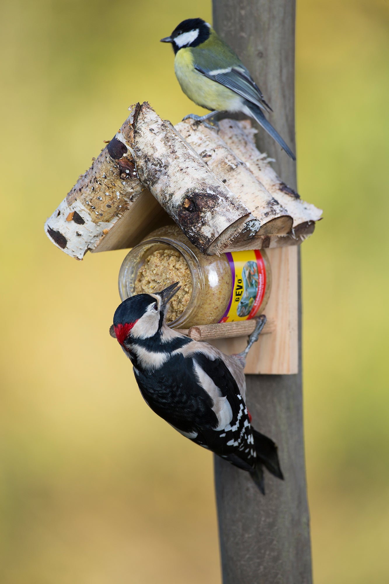 Artikelbild 1 von "Holz-Halterung für Futterglas" aus der Kategorie Futterspender