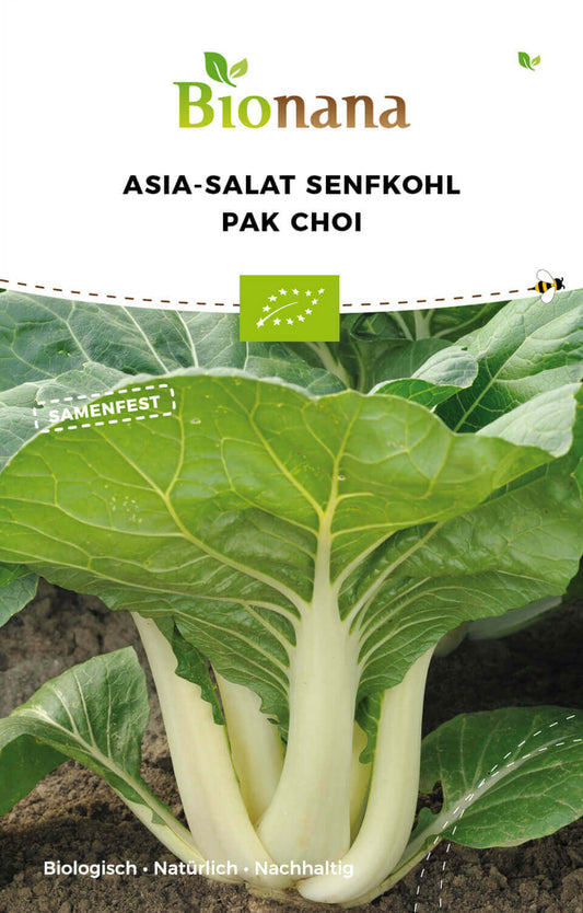 Asiasalat Pak Choi | BIO Pak Choisamen von Bionana