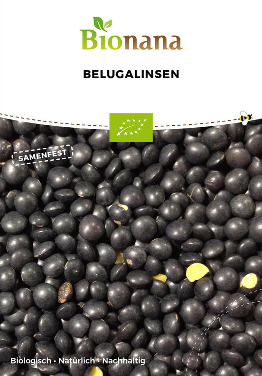 Belugalinsen | BIO Linsensamen von Bionana
