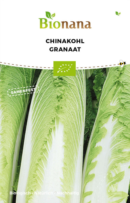 Chinakohl Lang Granaat | BIO Chinakohlsamen von Bionana