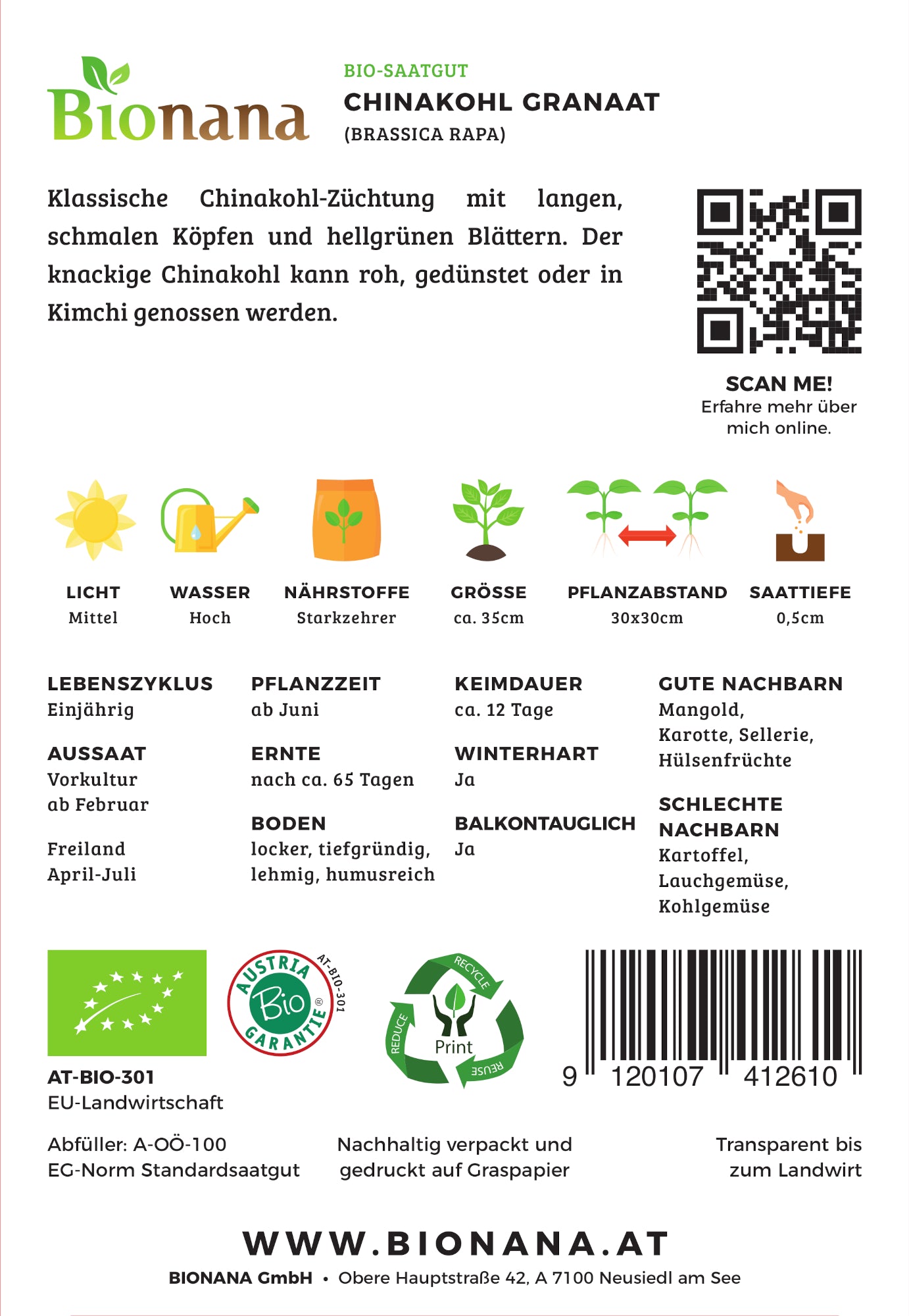 Chinakohl Lang Granaat | BIO Chinakohlsamen von Bionana