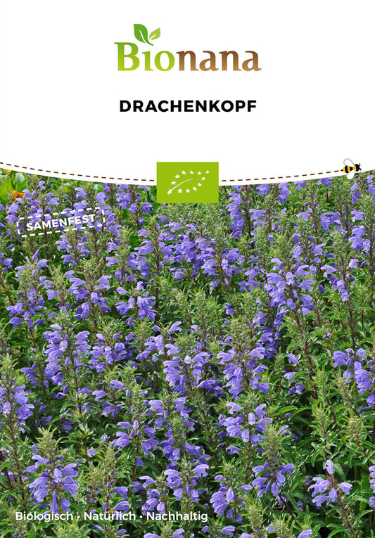 Drachenkopf | BIO Kräutersamen von Bionana