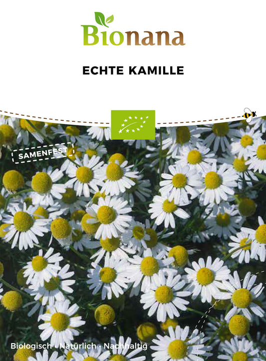 Echte Kamille | BIO Kamillesamen von Bionana