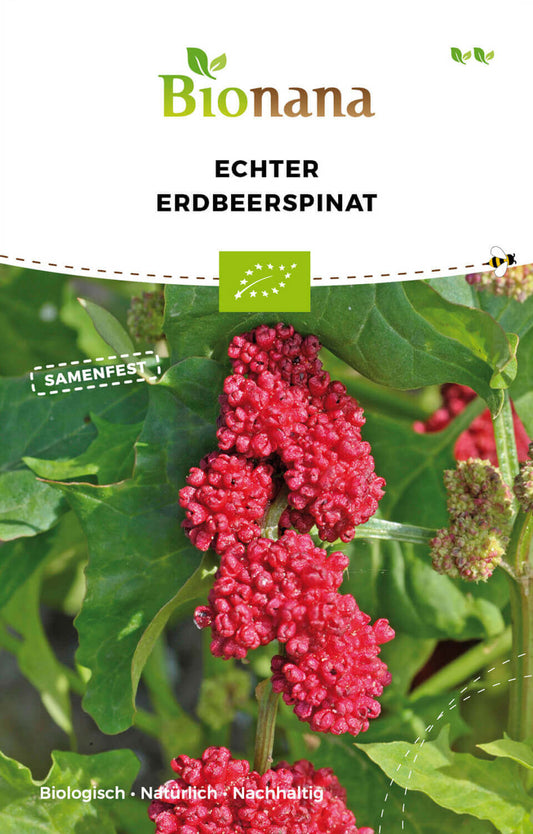 Echter Erdbeerspinat | BIO Spinatsamen von Bionana