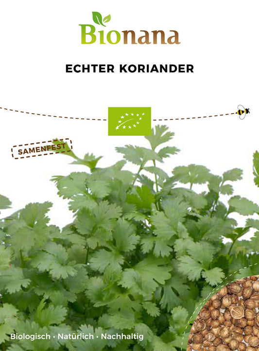 Echter Koriander | BIO Koriandersamen von Bionana