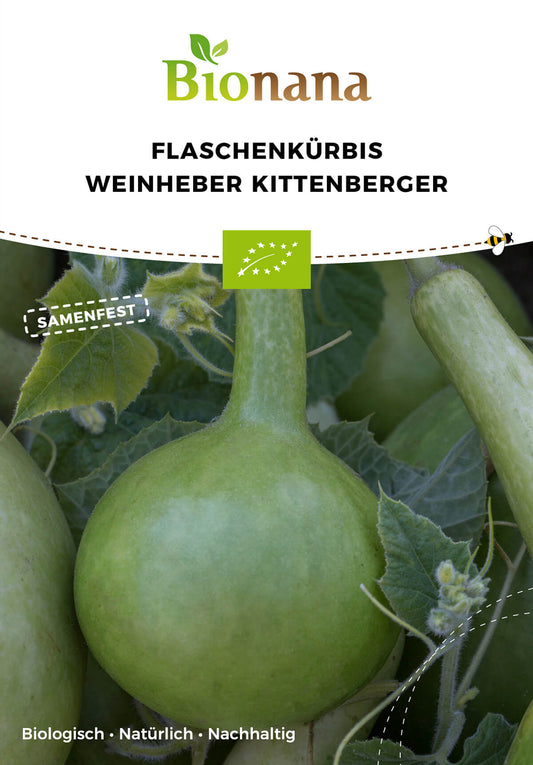 Flaschenkürbis Weinheber Kittenberger | BIO Flaschenkürbissamen von Bionana