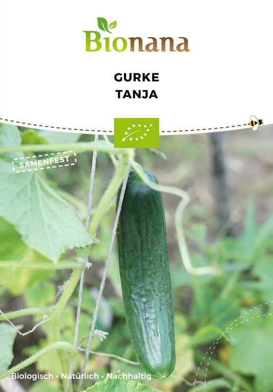 Gurke Tanja | BIO Gurkensamen von Bionana