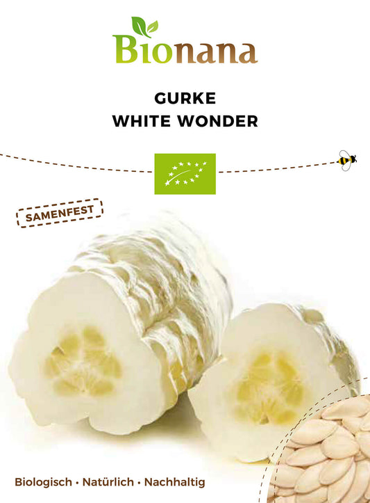 Gurke White Wonder | BIO Gurkensamen von Bionana