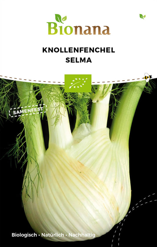 Knollenfenchel Selma | BIO Fenchelsamen von Bionana