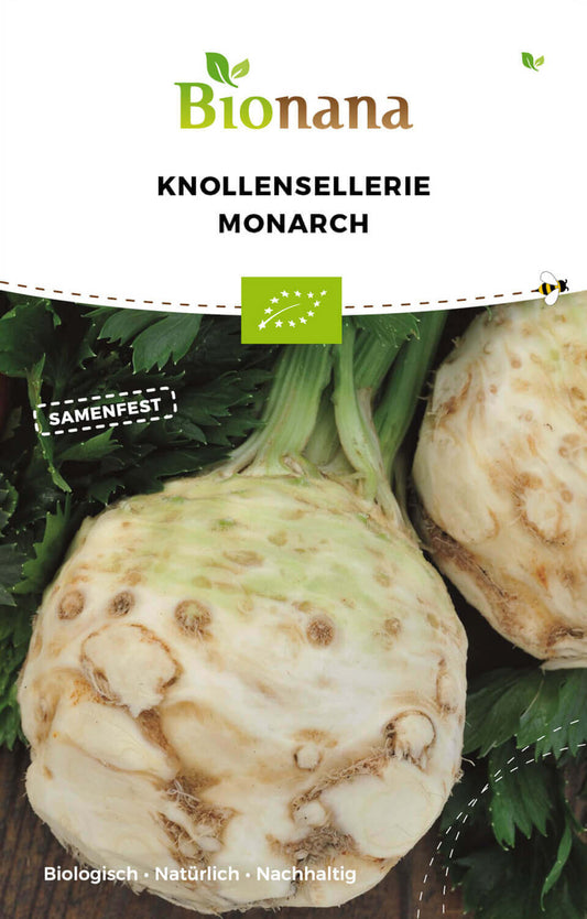 Knollensellerie Monarch | BIO Fenchelsamen von Bionana
