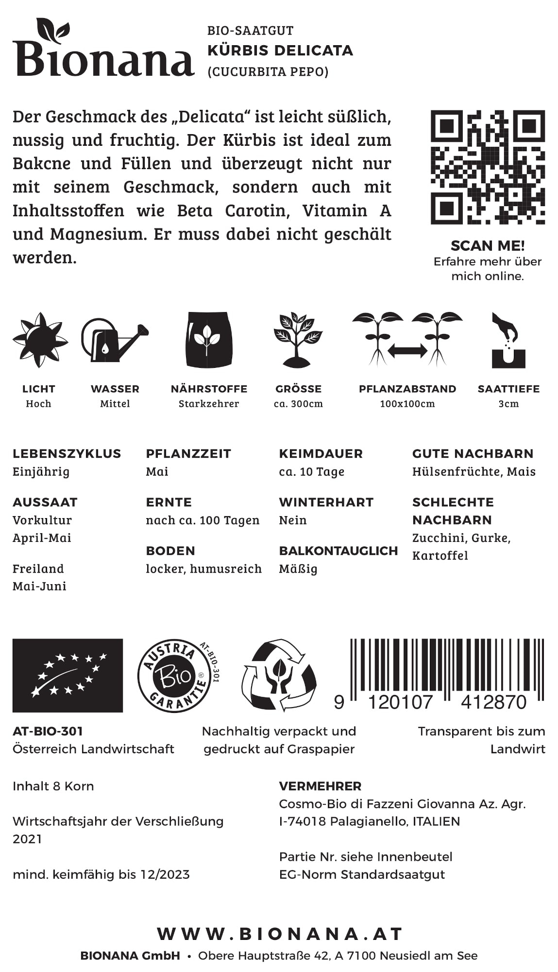 Kürbis Delicata | BIO Kürbissamen von Bionana