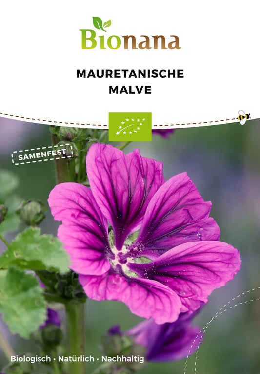 Mauretanische Malve | BIO Malvensamen von Bionana