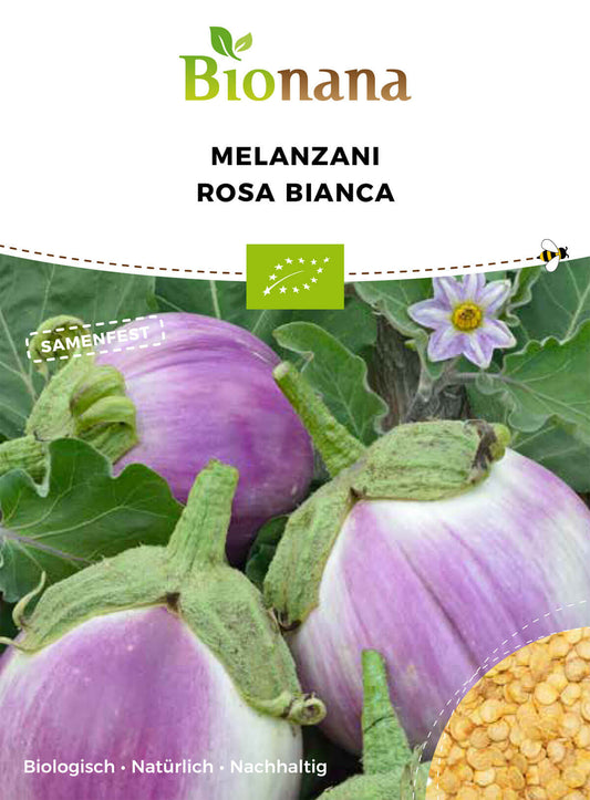 Aubergine Rosa Bianca | BIO Auberginensamen von Bionana