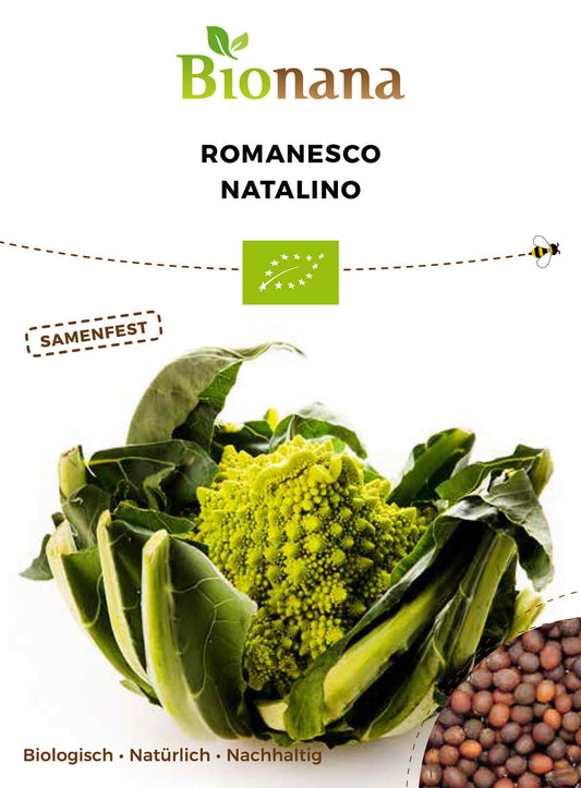Blumenkohl Romanesco Natalino | BIO Blumenkohlsamen von Bionana
