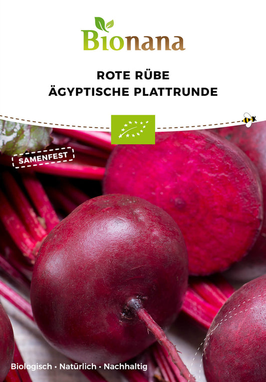 Rote Rübe Ägyptische Plattrunde | BIO Rote Beetesamen von Bionana