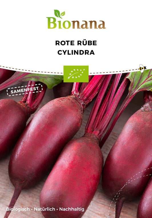 Rote Rübe Cylindra | BIO Rote Beetesamen von Bionana