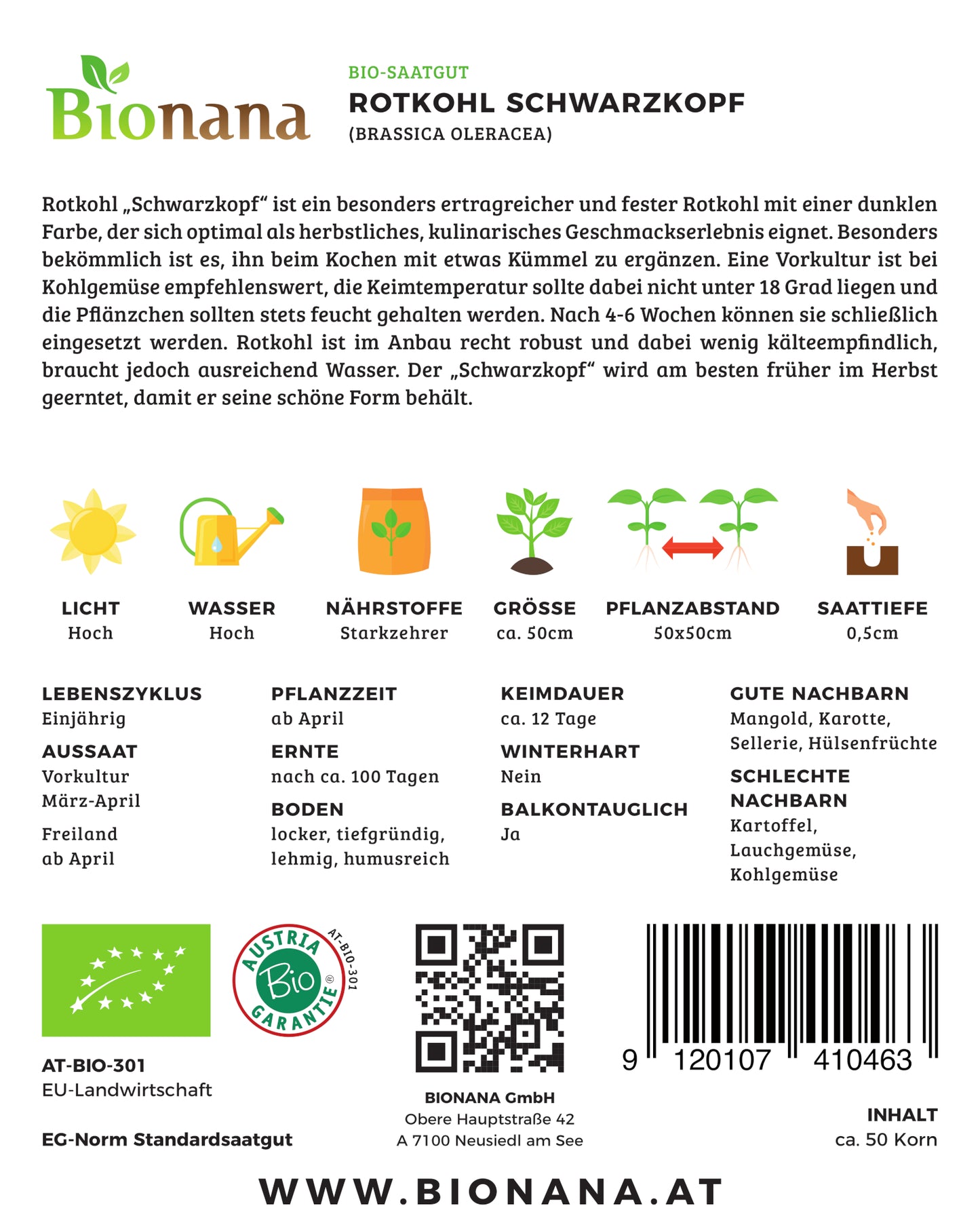 Rotkohl Schwarzkopf | BIO Rotkohlsamen von Bionana