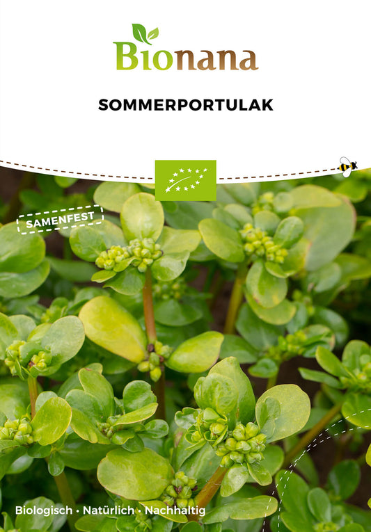 Sommerportulak | BIO Portulaksamen von Bionana