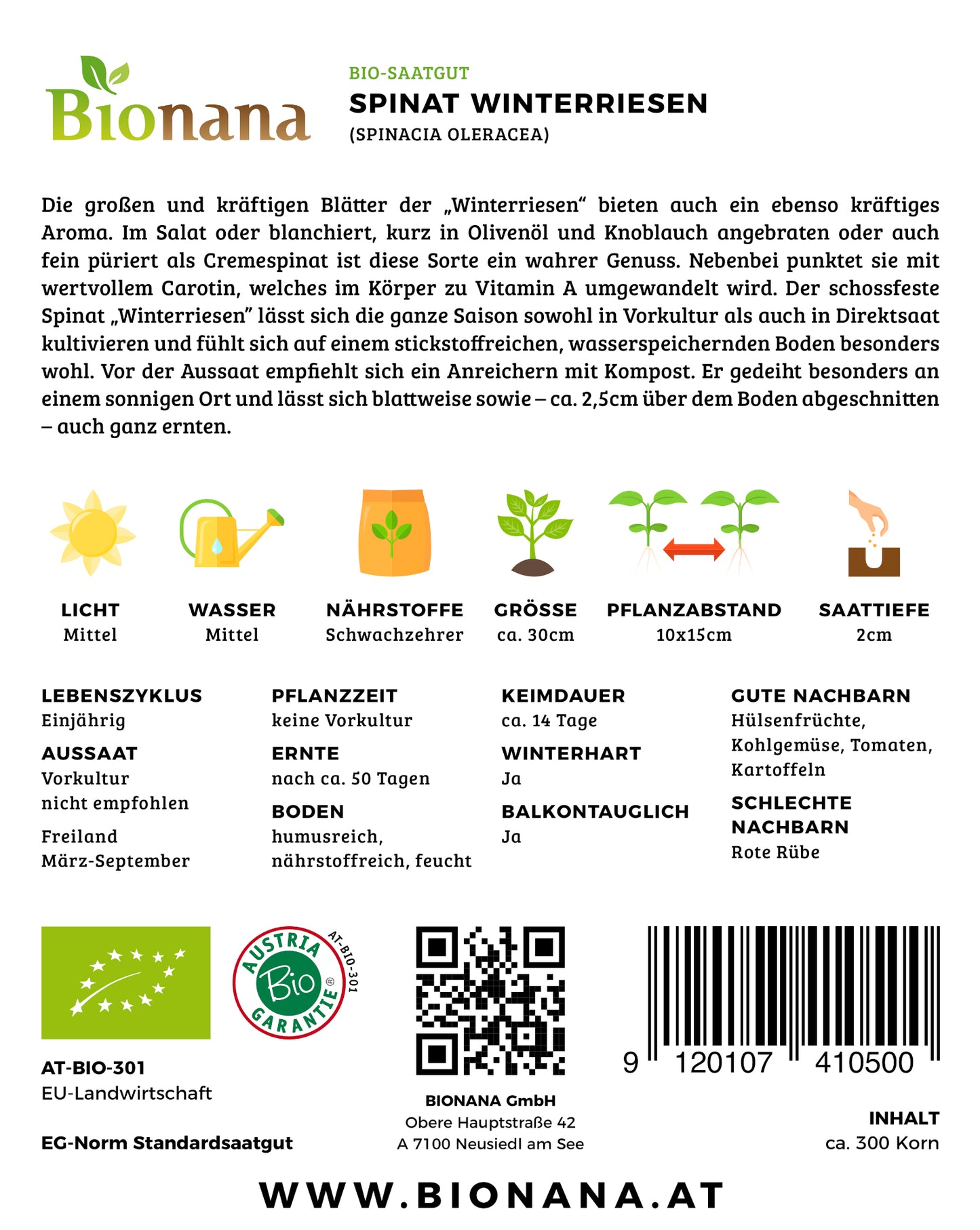 Spinat Winterriesen | BIO Spinatsamen von Bionana